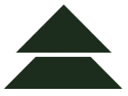 pinevision logotyp
